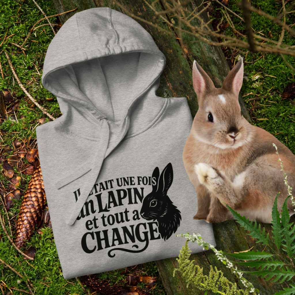 Il était une fois un lapin.. et tout a changé