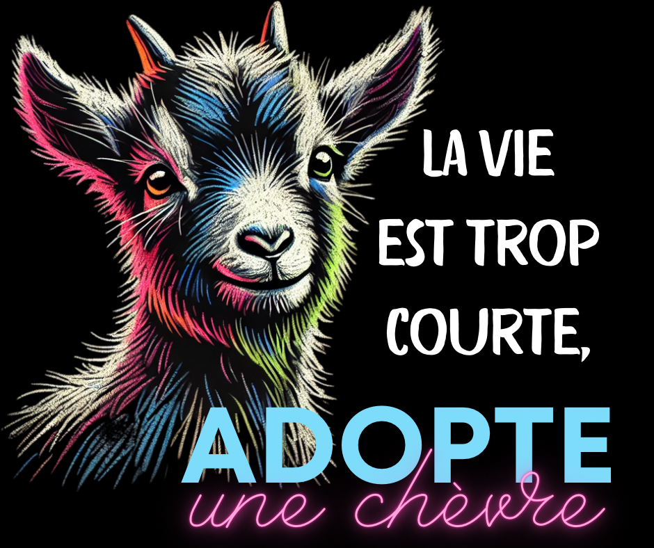Mug brillant noir - Humour - La vie est trop courte…